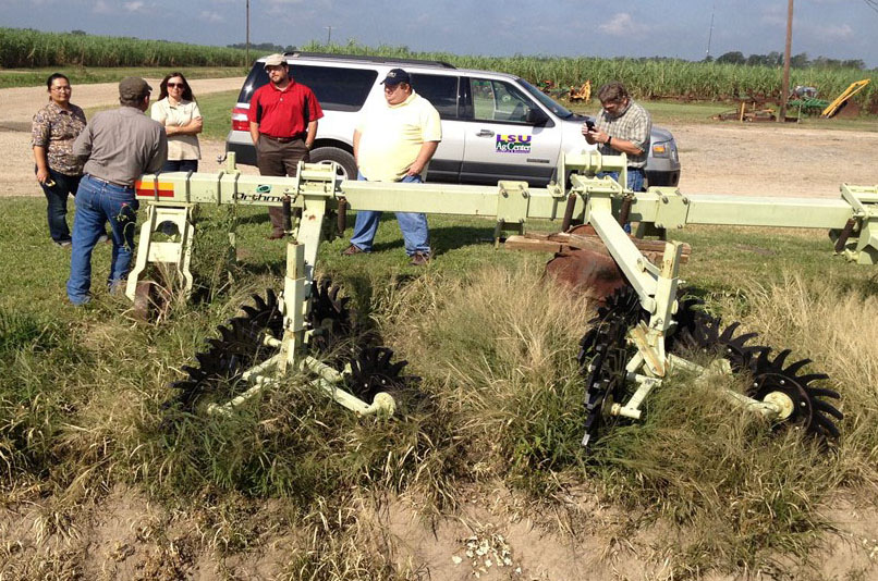 Influence of Residue Management Strategies on Sugarcane Yield and Water Quality